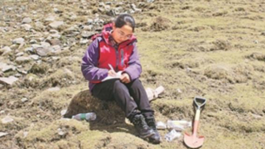 勞動(dòng)者之歌 | 達(dá)娃