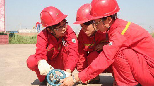 【2015勞動者之歌】“寶石花”綻放在黑色油田——記大港油田公司第五采油廠高級技師尤立紅