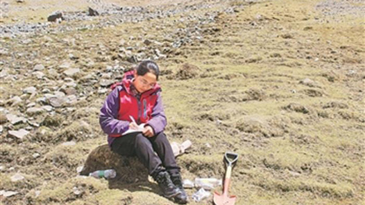 【2021勞動者之歌】達娃：青藏高原上的“野地”姑娘