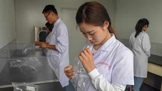 【一線：360行】嗅辨師·用鼻子給惡臭污染“定罪”