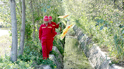 【一線：360行】天然氣管道檢測工·前行穿荊棘 巡線保用氣