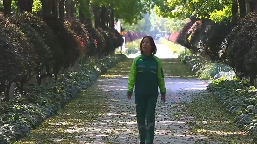 【愛在城市】園林綠化工：讓樹木“飛”進城市