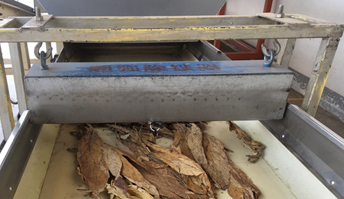 【“五小”創新有我在】小鐵盒吸走大隱患