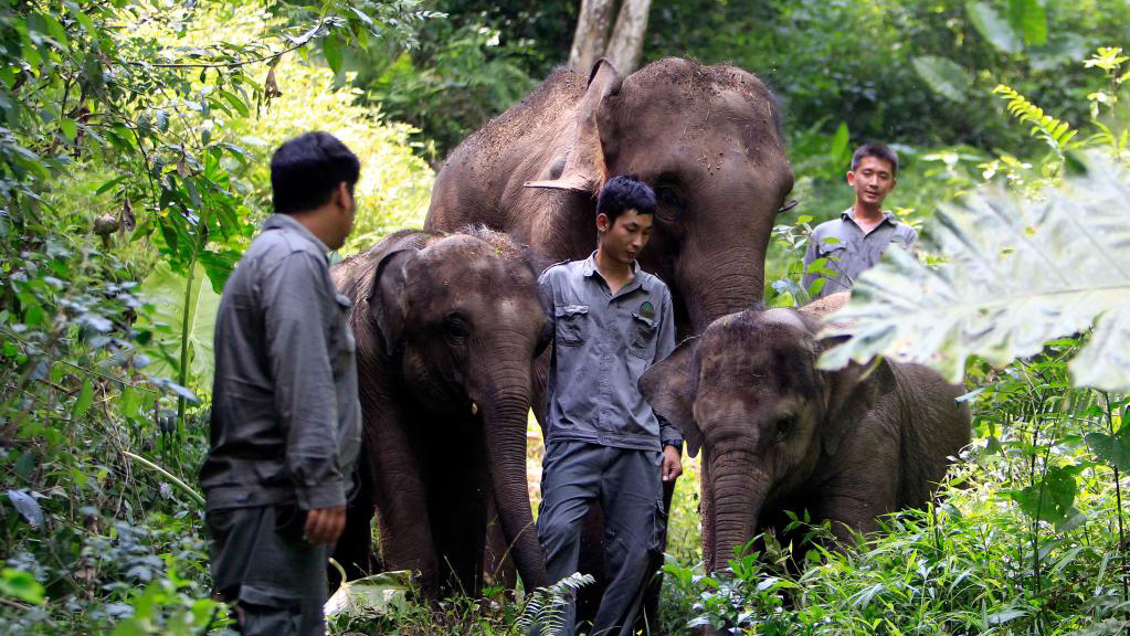 以奮斗之勢展最美之姿——走近“最美職工”（下）