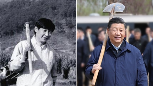 習近平的勞動情懷