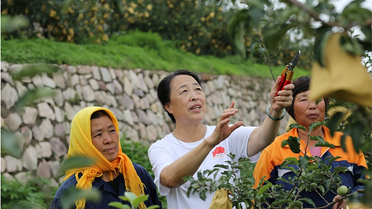 【2022勞動者之歌】李保國山區開發與林果產業創新團隊：薪火相傳 科技富民