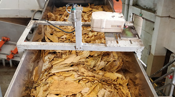 【“五小”創新有我在】復烤潤葉的“黃金搭檔”