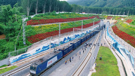 新春走基層｜“菜籃”豐足惠民生