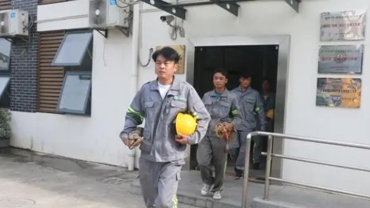 中國夢·大國工匠篇 ｜“城市理發師”楊飛飛：為了那5萬棵行道樹的風景