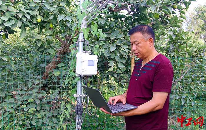 下載自動氣候工作站數據