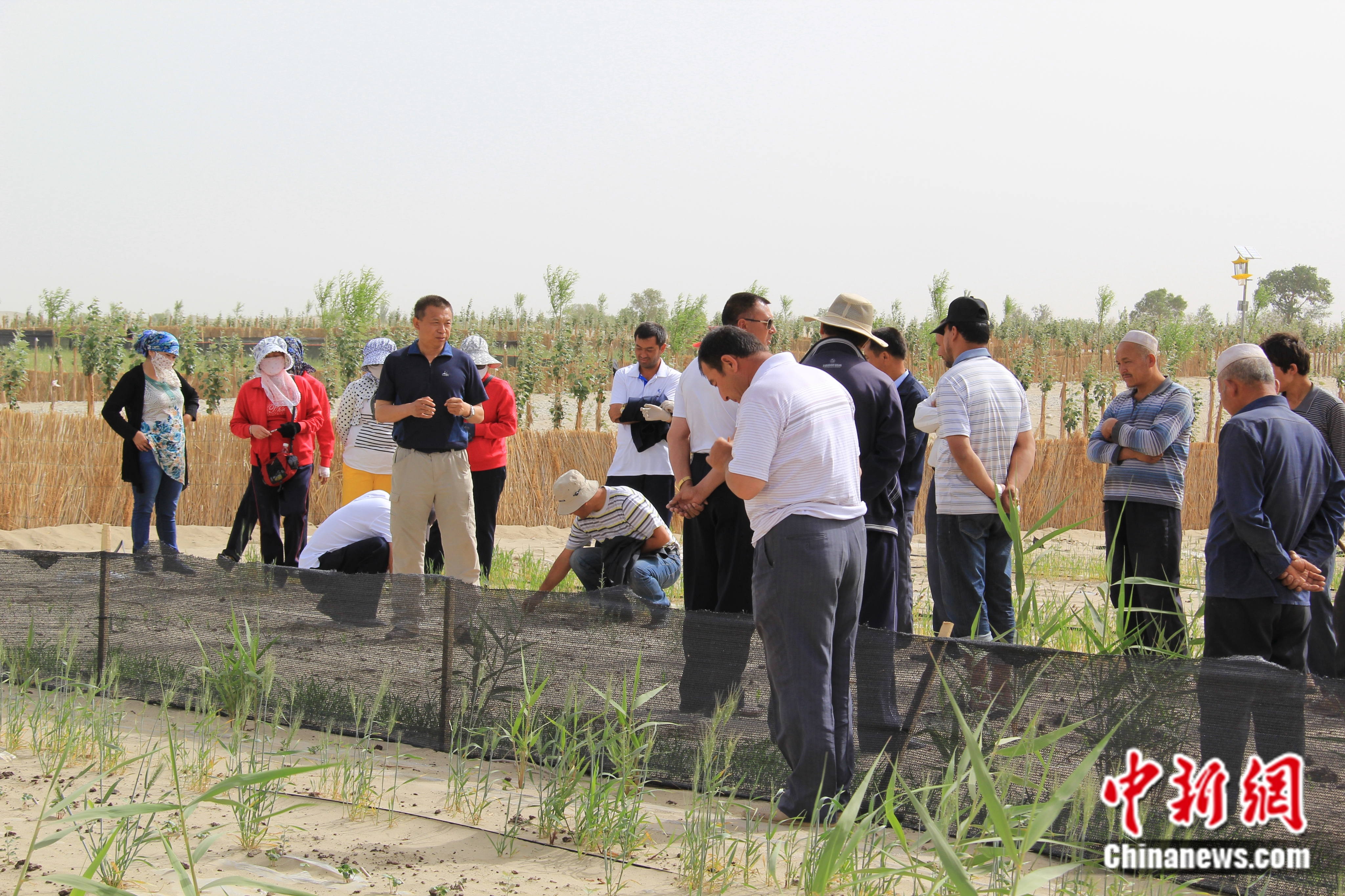 指導群眾造林固沙。受訪者供圖