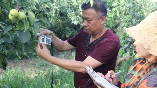 中國(guó)夢(mèng)·大國(guó)工匠篇 | 從一棵樹到一片林，他用三十余年守護(hù)沙漠綠洲