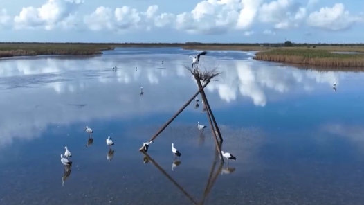 學(xué)習(xí)貫徹黨的二十屆四中全會(huì)精神｜建設(shè)美麗中國(guó)