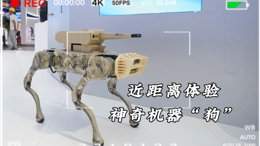 工視頻丨近距離體驗神奇機器“狗”