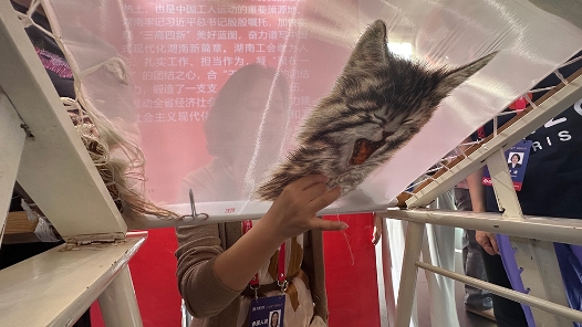 這里除了高精尖還有“土特產”