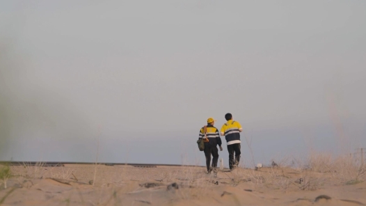 身邊榜樣丨大漠冬青