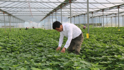 身邊榜樣丨勞模“微宣講”視頻——鐘俊杰