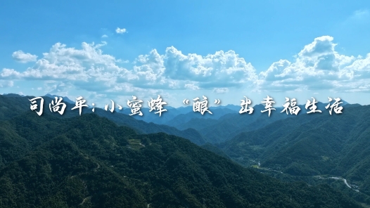 身邊榜樣丨司尚平：小蜜蜂“釀”出幸福生活