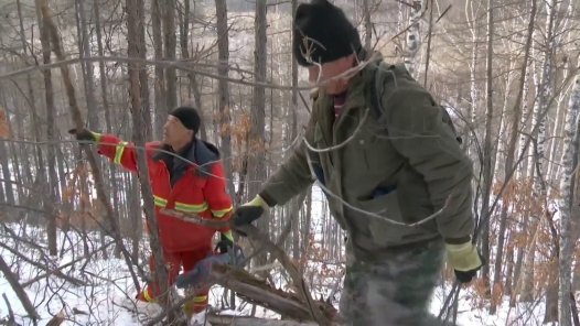 身邊榜樣丨密林深處的“守護(hù)”