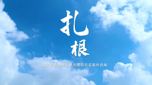 身邊榜樣丨扎根