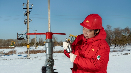 2021年大國工匠年度人物｜劉麗：油田里的大國工匠