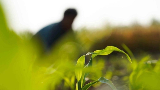 杭州余杭區良渚街道總工會促進農企互助、匠心共融