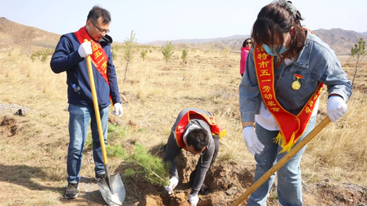 呼和浩特市總工會組織勞模開展義務植樹活動