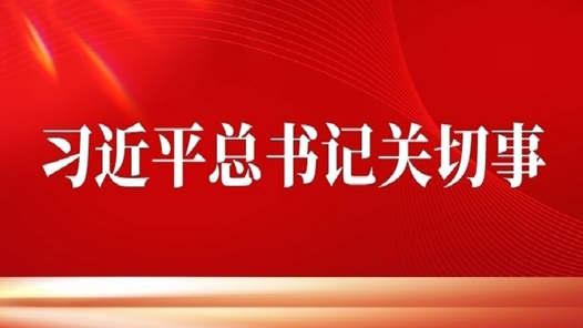 習近平總書記關切事丨在勞動中成就夢想