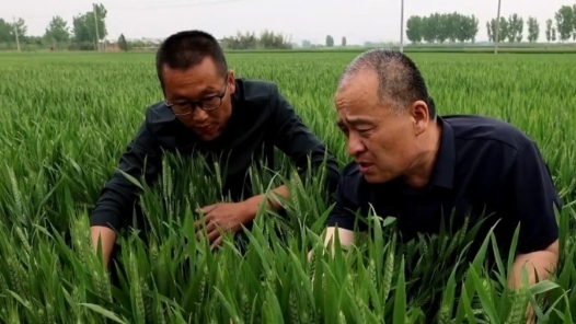 勞動(dòng)者之歌丨在農(nóng)田里辦公 這個(gè)“土”專家，中！