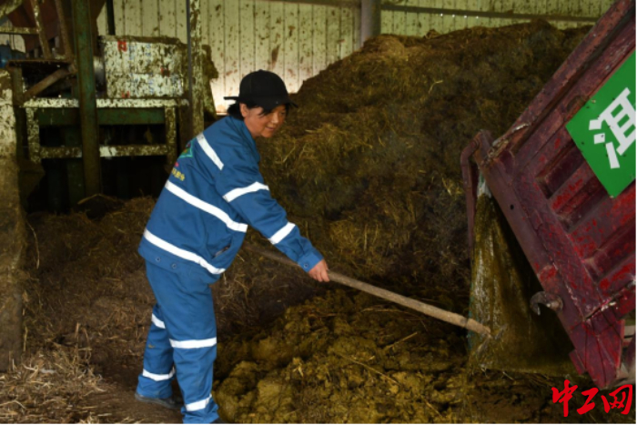 李春喜在收集站將收集到的糞便“卸貨”。受訪者供圖