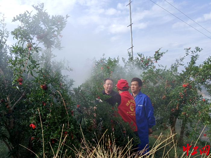 微信圖片_20240507103516