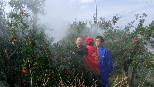 麗江市永勝縣總工會為果樹種植戶開展技能培訓