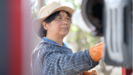 筑夢現代化 共繪新圖景·最美職工｜用“一身臟”守護洱海源頭碧水青山