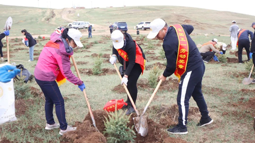 呼和浩特市總工會組織先進模范代表開展義務植樹活動