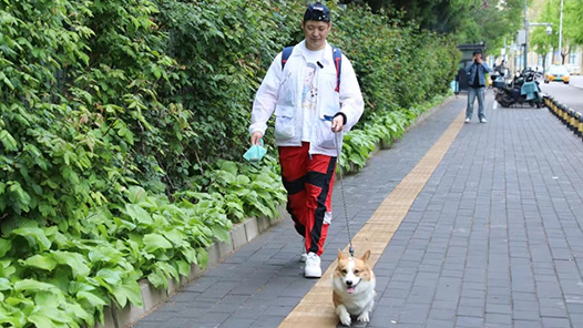 千職百態(tài)丨“夢中情工”！機靈的“鏟屎官”早就這么干了