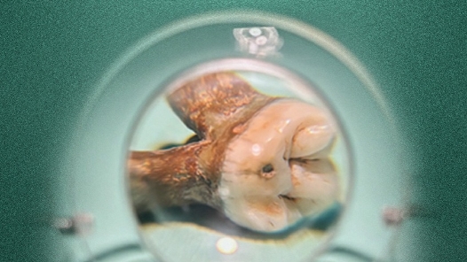 何以中國·運載千秋｜一條大運河 半部華夏史