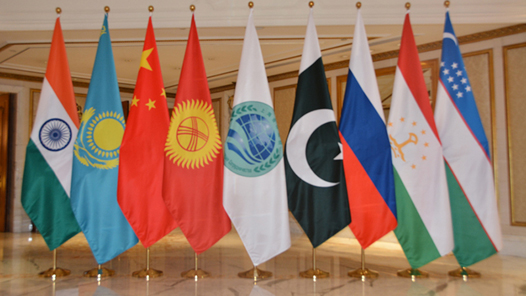 特稿｜為全球共同發展提供廣泛深刻的啟示——中共二十屆三中全會戰略擘畫引發全球南方國家強烈共鳴