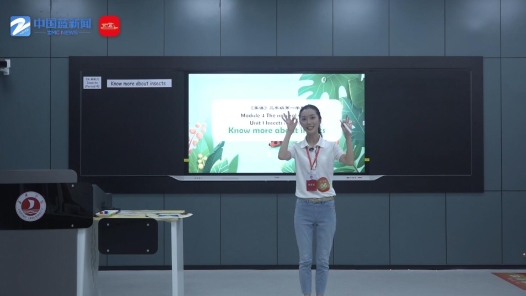 Know more about insects