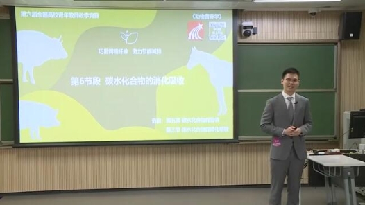 碳水化合物的消化吸收