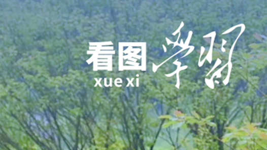 看圖學習·改革為人民｜堅持以人民為中心 在改革中持續增進民生福祉