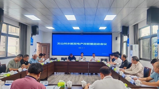 云南文山州產(chǎn)改：大帶小 強帶弱 組建產(chǎn)改聯(lián)盟示范全域