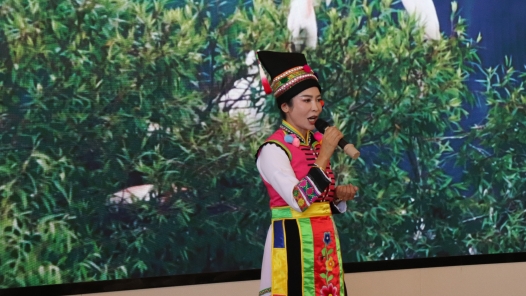 云南省保山市2024年導游（講解員）技能競賽圓滿落幕