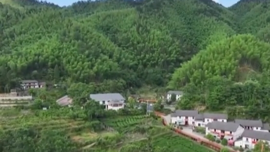 奮進強國路 闊步新征程·老區行｜弘揚井岡山精神 推動鄉村全面振興