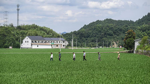 奮進強國路 闊步新征程｜以“基層善治”夯實“中國之治”