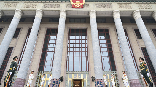 快訊：“友誼勛章”獲得者迪爾瑪·羅塞芙發言