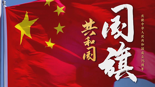 時政微紀錄｜共和國·國旗