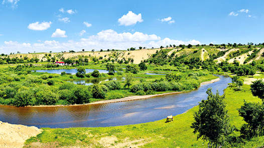 奮進強國路 闊步新征程·親歷重大工程建設丨“三北”工程：從“沙進人退”到“綠進沙退”