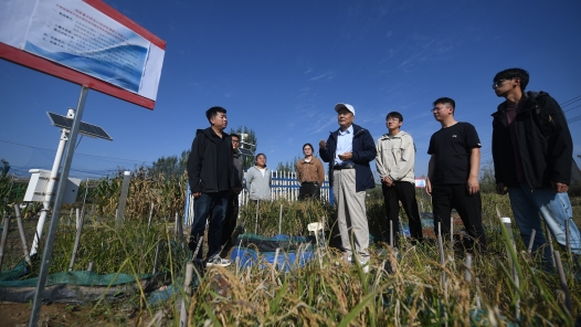 輝煌75載 與共和國同成長的勞動模范｜田軍倉：把節水灌溉科研文章寫在大地上