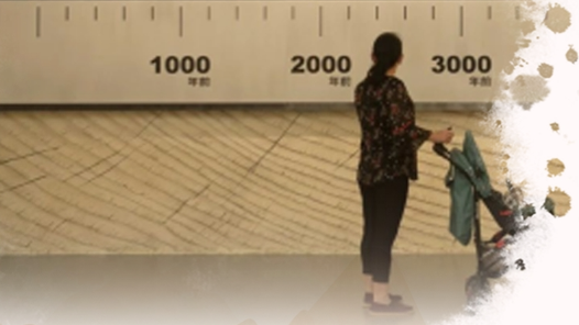 何以中國·緣起良渚丨傳承與弘揚 讓燦爛文明在當代得到新延續