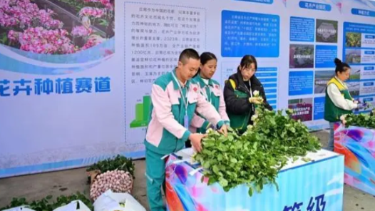 云南省花卉產業勞動競賽啟動